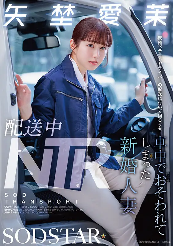 START-385 Reduce Mosaic  Aima Ends Up Working At A Transportation Compan...