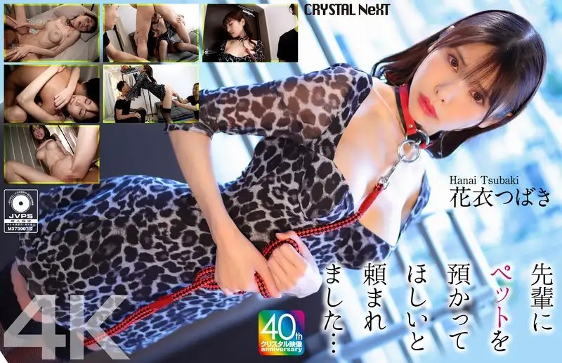 CRNX-254  Tsubaki Hanagoro